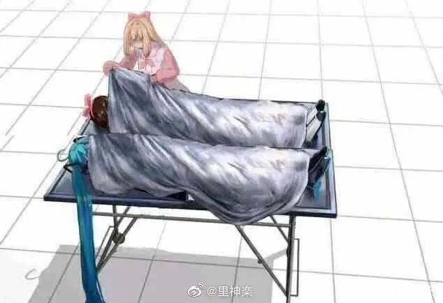 使用chihaya 搭建tracker服务器（Debian）